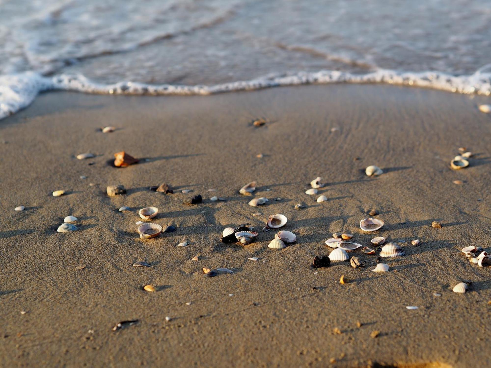 Enjoy Your Only 100m From The Sea - Beahost Apartment Bibione