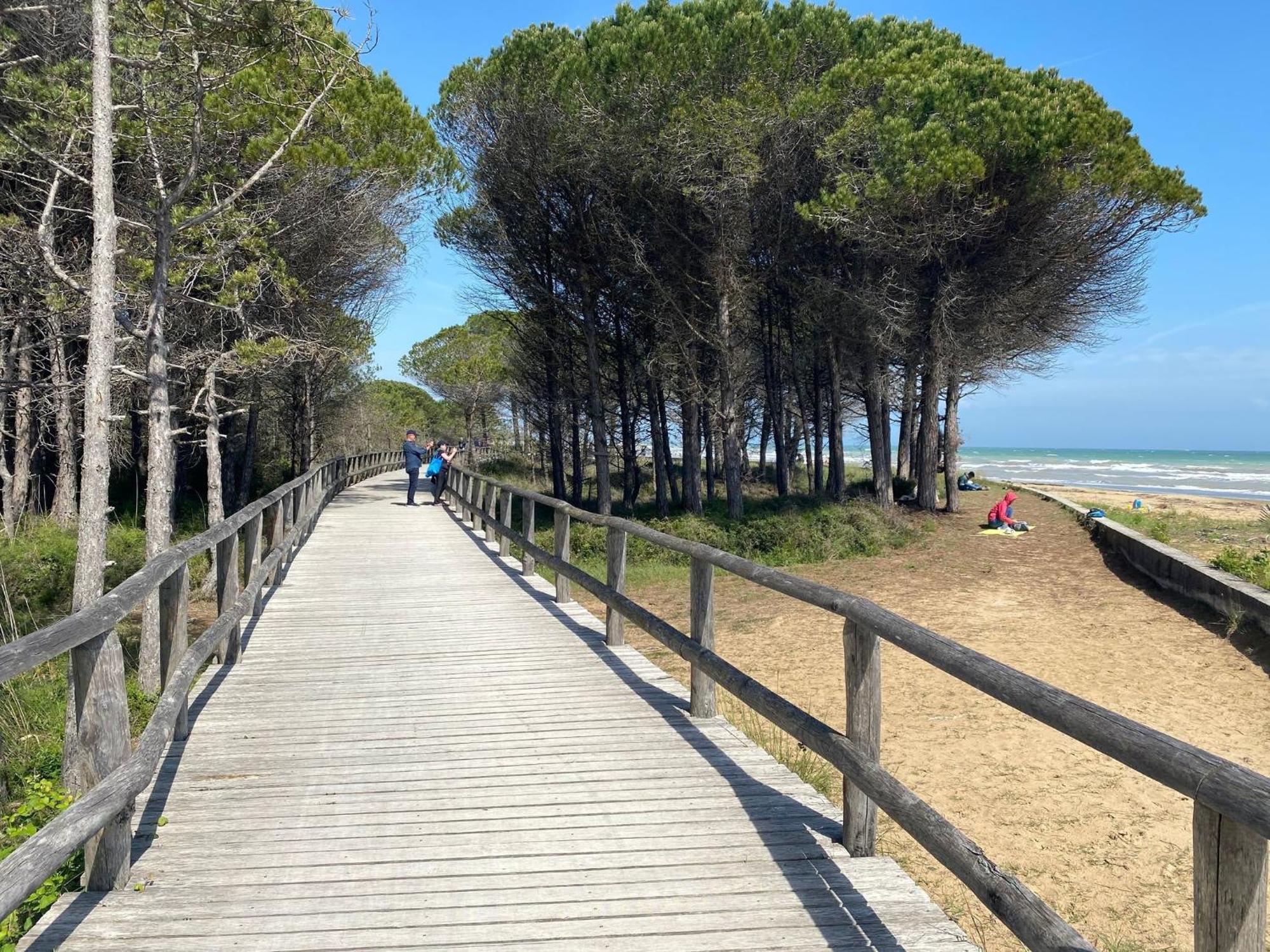 Apartment Enjoy Your Only 100m From The Sea - Beahost